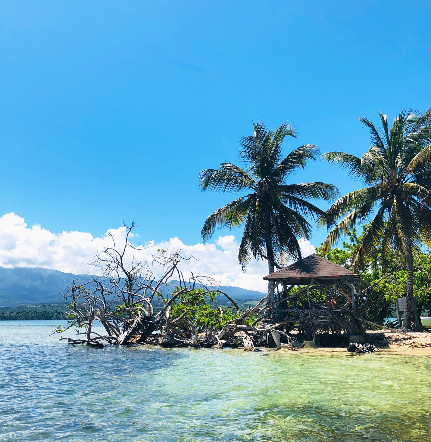 PETIT CUL-DE-SAC MARIN